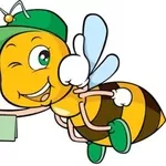 Продам мед и другие продукты пчеловодства со своей пасеки