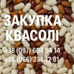 Купуємо квасолю для потреб підприємства