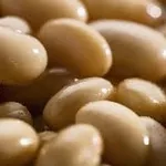 Купуємо квасолю на переробку, консервування.