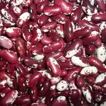 Квасоля на продаж. Різні сорти в асортименті