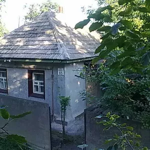 Продам частный дом в Миргороде