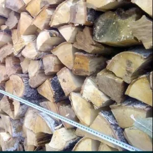Лесхоз Полтавской области реализует колотые дрова разных пород от 5м3