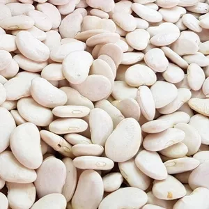 Гуртові поставки квасолі для українського ринку та експорту