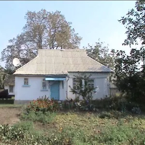 Продам дом в селе Яреськи