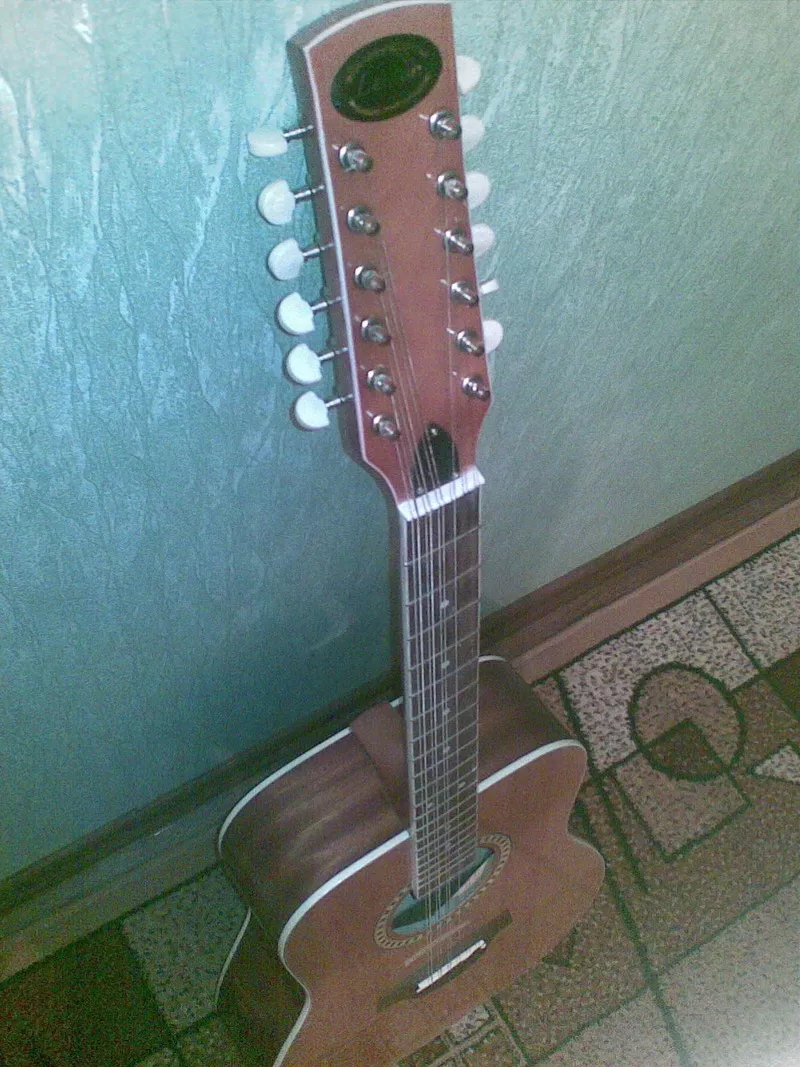 12-ти струнная гитара 2