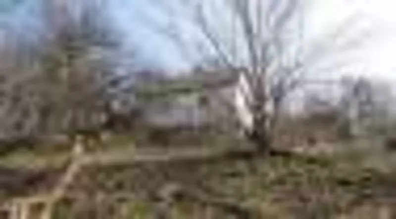 Продам дом в Яреськах Яреськи,  Полтавская область,  Шишацкий район 6