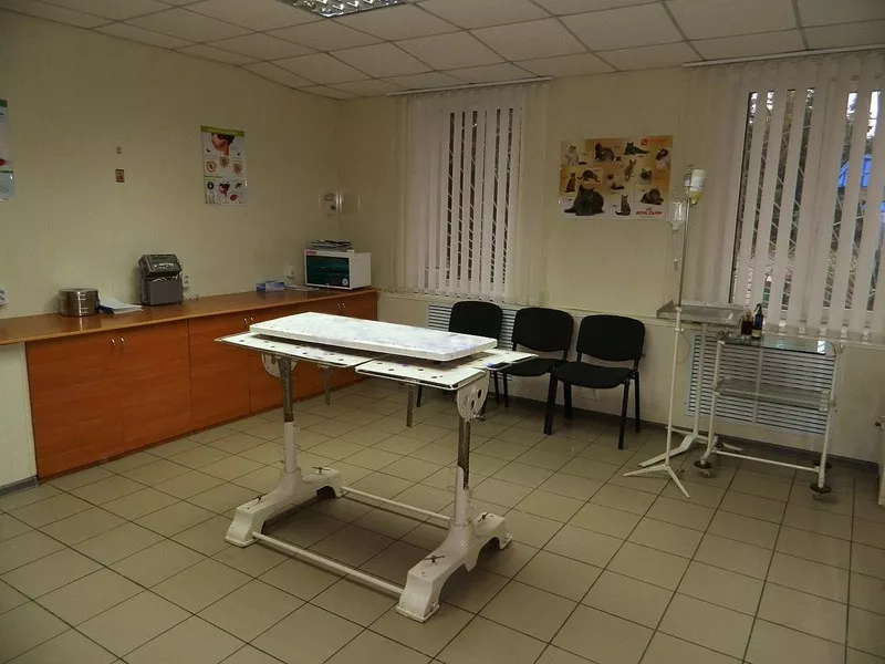 Ветеринарна клініка в Полтаві
