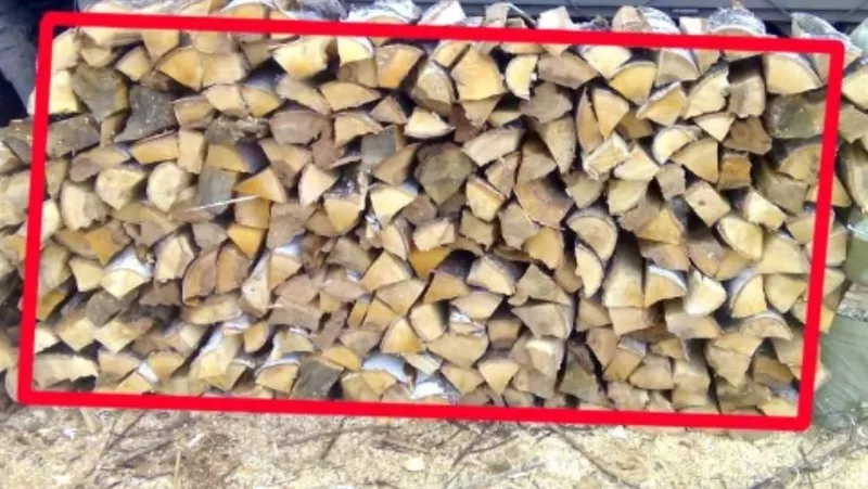 Лесхоз Полтавской области реализует колотые дрова разных пород от 5м3 4