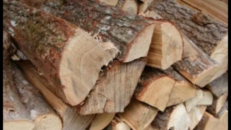 Лесхоз Полтавской области реализует колотые дрова разных пород от 5м3 3