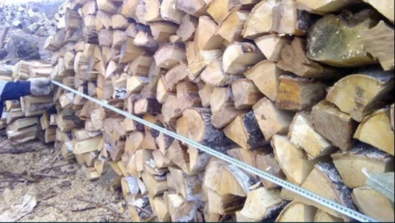 Лесхоз Полтавской области реализует с доставкой дрова колотые 2