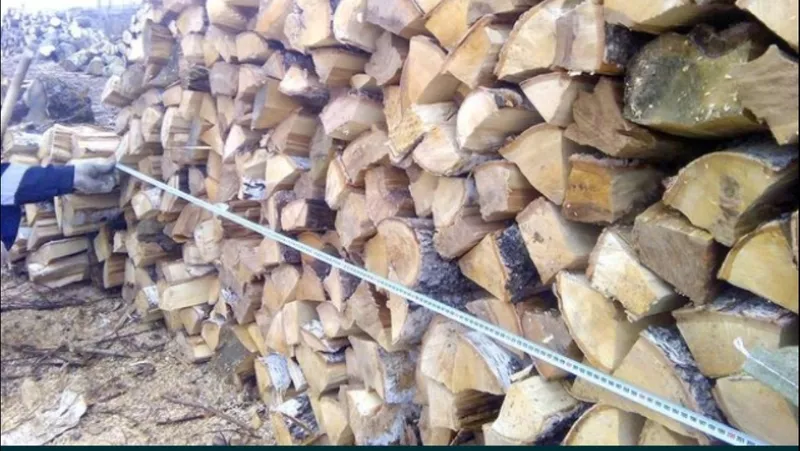 Отборные колотые дрова разных пород от 5м3 Лесхоза Полтавской области 4