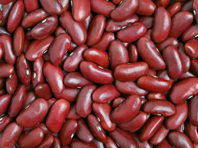 Високоякісна квасоля оптом